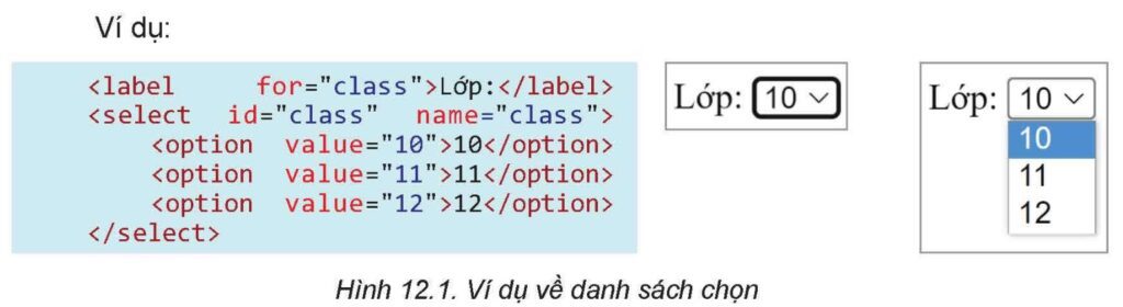 Tin học 12 Bài 12