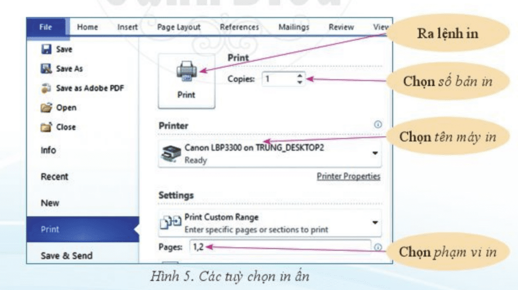 Tin học 6 Chủ đề E Bài 2 In văn bản