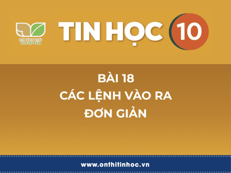 Tin học 10 - Bài 24