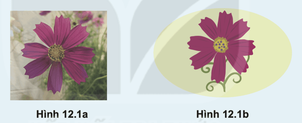 Tin học 10 – Bài 12. Phần mềm thiết kế đồ hoạ 7 Tin học 10 Bài 12 Hoạt động khởi động