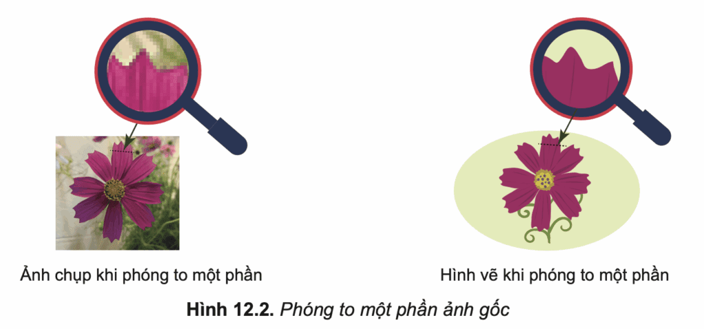 Tin học 10 – Bài 12. Phần mềm thiết kế đồ hoạ 8