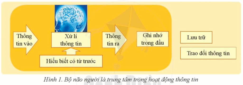 Tin học 6 Chủ đề A Bài 2 Các bước trong hoạt động thông tin của con người