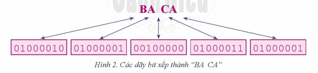 Tin học 6 Chủ đề A Bài 4 a Biểu diễn chữ cái và văn bản