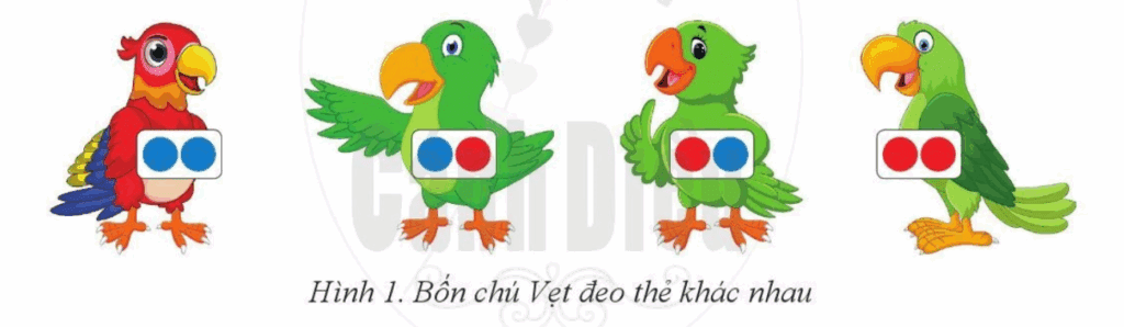 Tin học 6 Chủ đề A Bài 4 Hoạt động khởi động