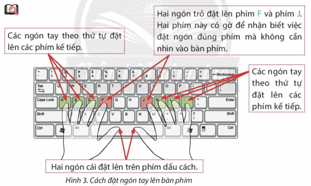 Bài 5 Cách đặt tay lên bàn phím