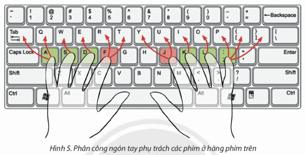 Bài 5 Quy tắc gõ phím