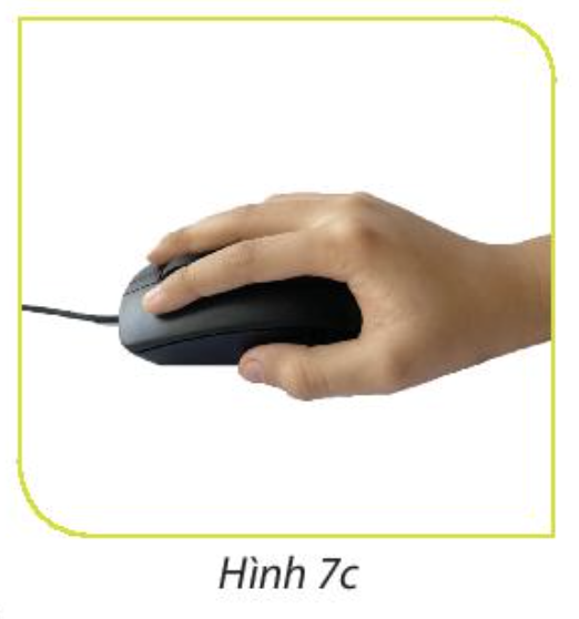 Định dạng dữ Liệu